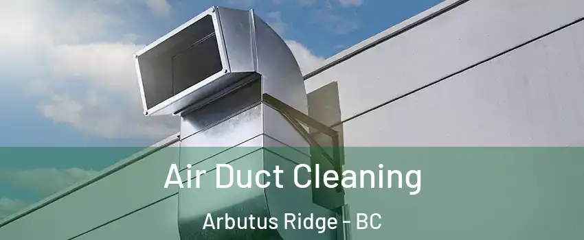  Air Duct Cleaning Arbutus Ridge - BC