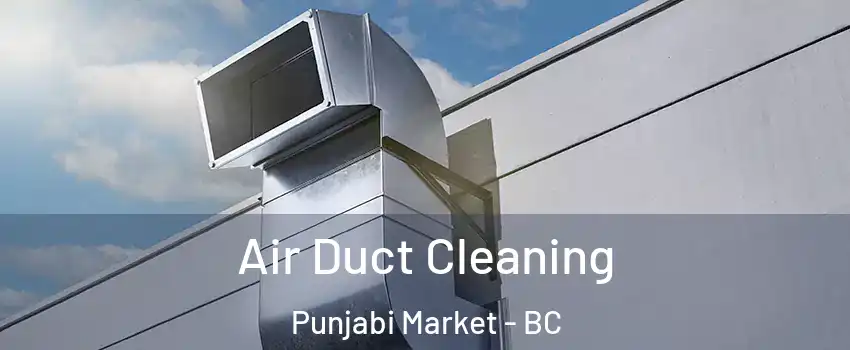 Air Duct Cleaning Punjabi Market - BC