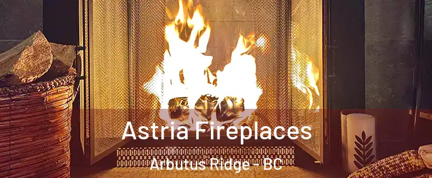  Astria Fireplaces Arbutus Ridge - BC
