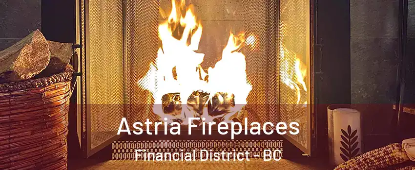  Astria Fireplaces Financial District - BC