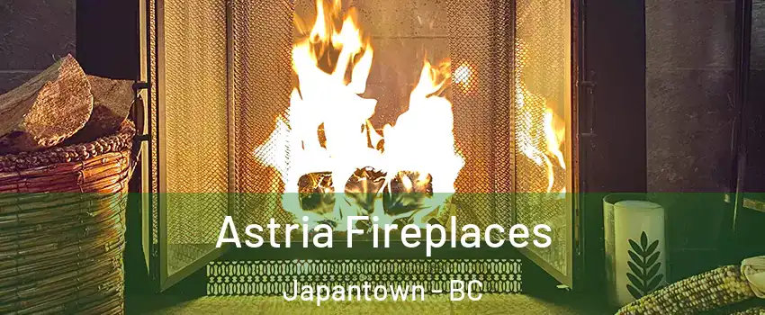  Astria Fireplaces Japantown - BC