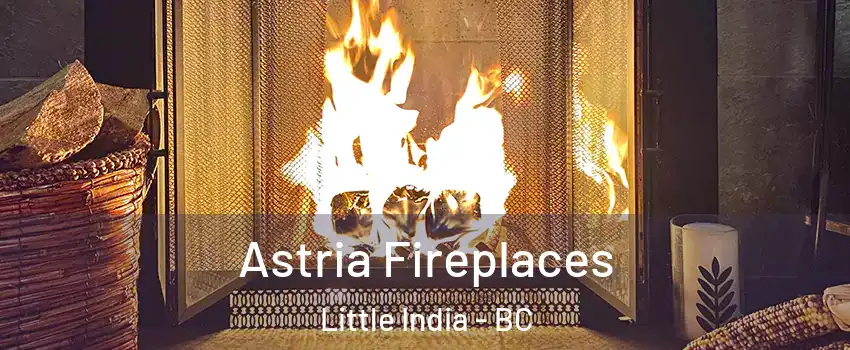  Astria Fireplaces Little India - BC
