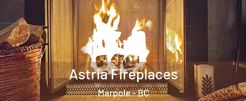  Astria Fireplaces Marpole - BC