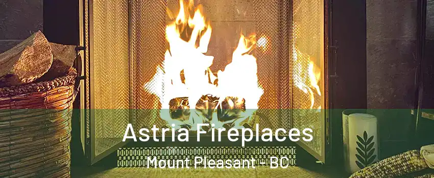  Astria Fireplaces Mount Pleasant - BC