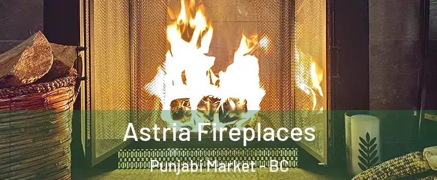  Astria Fireplaces Punjabi Market - BC