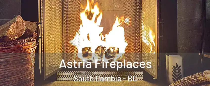  Astria Fireplaces South Cambie - BC