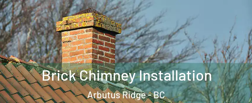  Brick Chimney Installation Arbutus Ridge - BC