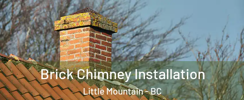  Brick Chimney Installation Little Mountain - BC