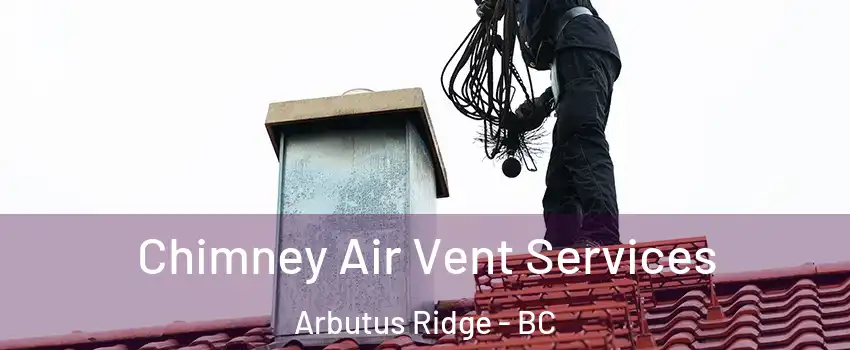  Chimney Air Vent Services Arbutus Ridge - BC