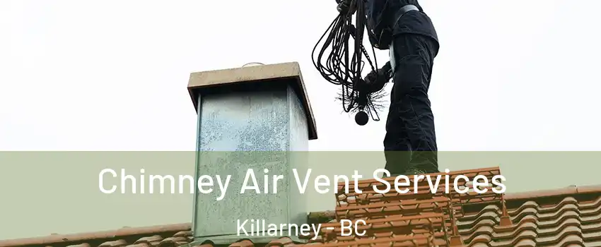  Chimney Air Vent Services Killarney - BC