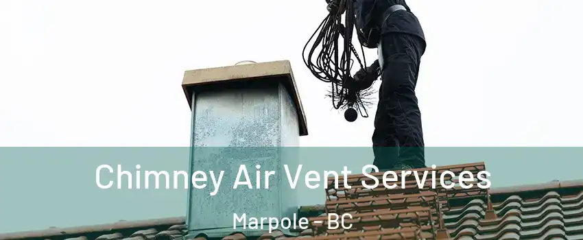  Chimney Air Vent Services Marpole - BC