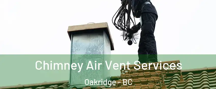  Chimney Air Vent Services Oakridge - BC