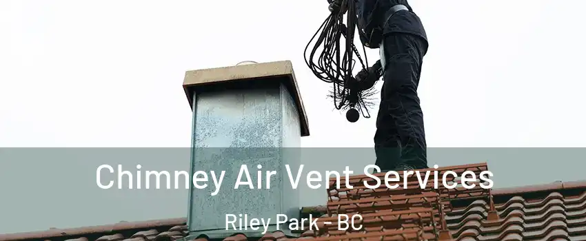  Chimney Air Vent Services Riley Park - BC
