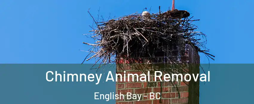 Chimney Animal Removal English Bay - BC