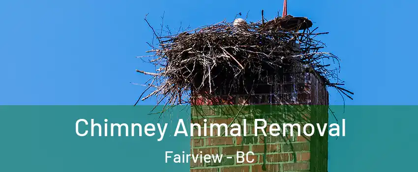 Chimney Animal Removal Fairview - BC