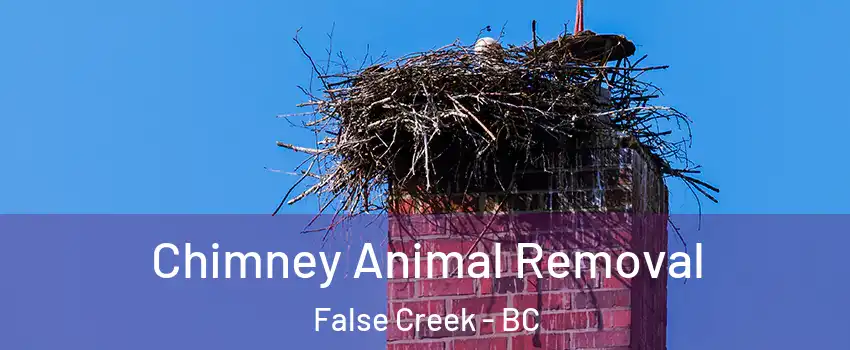 Chimney Animal Removal False Creek - BC