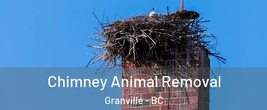 Chimney Animal Removal Granville - BC