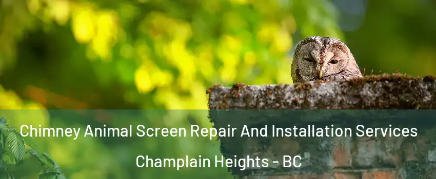  Chimney Animal Screen Repair And Installation Services Champlain Heights - BC