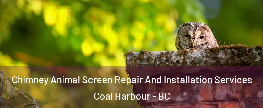  Chimney Animal Screen Repair And Installation Services Coal Harbour - BC