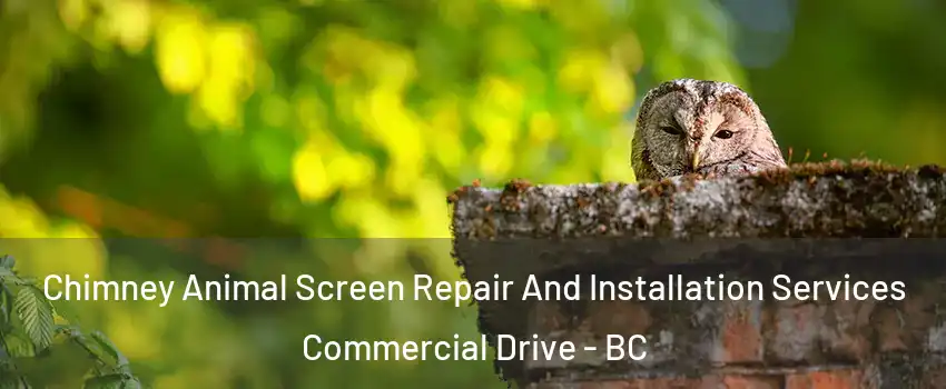  Chimney Animal Screen Repair And Installation Services Commercial Drive - BC