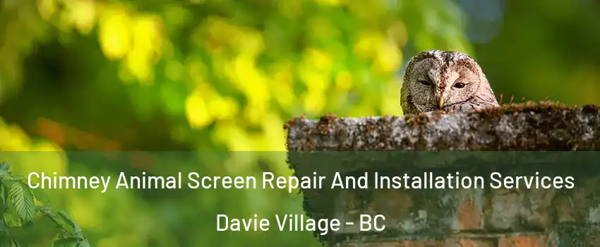  Chimney Animal Screen Repair And Installation Services Davie Village - BC