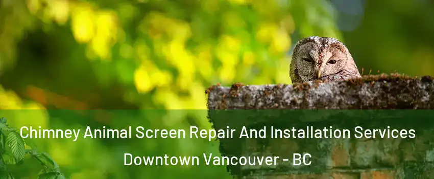  Chimney Animal Screen Repair And Installation Services Downtown Vancouver - BC