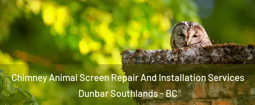  Chimney Animal Screen Repair And Installation Services Dunbar Southlands - BC