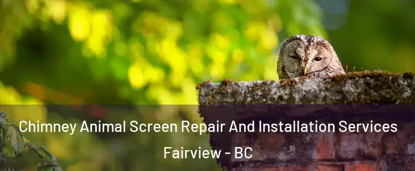  Chimney Animal Screen Repair And Installation Services Fairview - BC