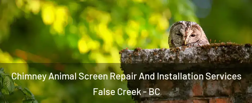  Chimney Animal Screen Repair And Installation Services False Creek - BC