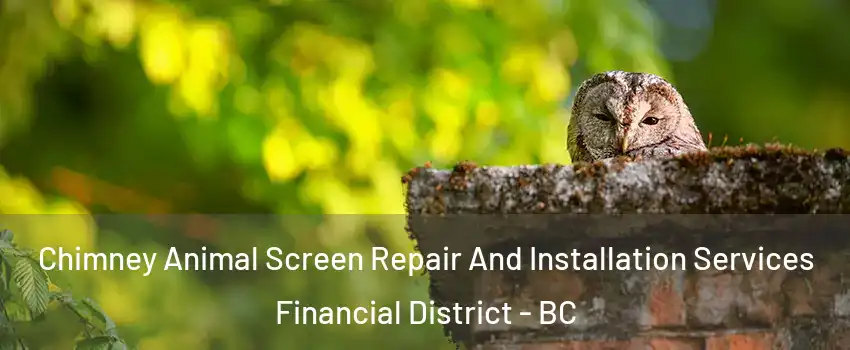  Chimney Animal Screen Repair And Installation Services Financial District - BC
