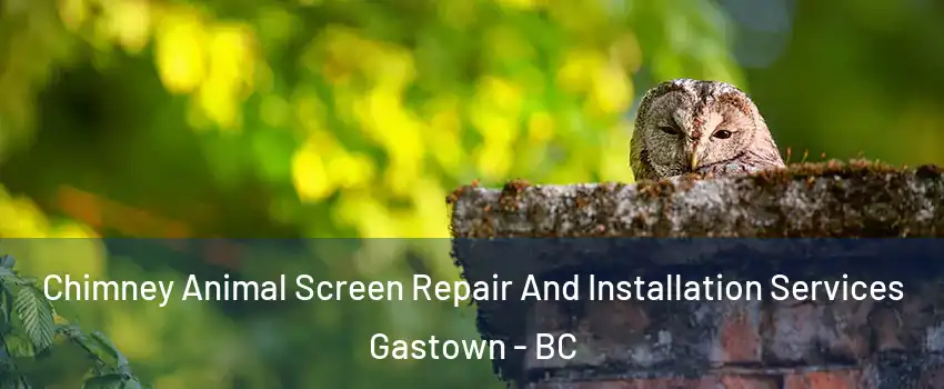  Chimney Animal Screen Repair And Installation Services Gastown - BC