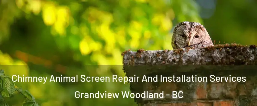  Chimney Animal Screen Repair And Installation Services Grandview Woodland - BC