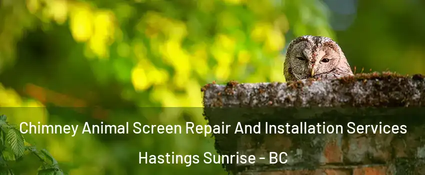  Chimney Animal Screen Repair And Installation Services Hastings Sunrise - BC