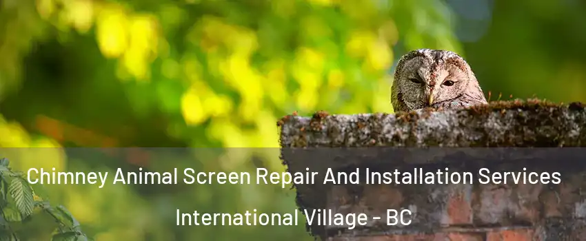  Chimney Animal Screen Repair And Installation Services International Village - BC