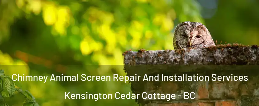  Chimney Animal Screen Repair And Installation Services Kensington Cedar Cottage - BC