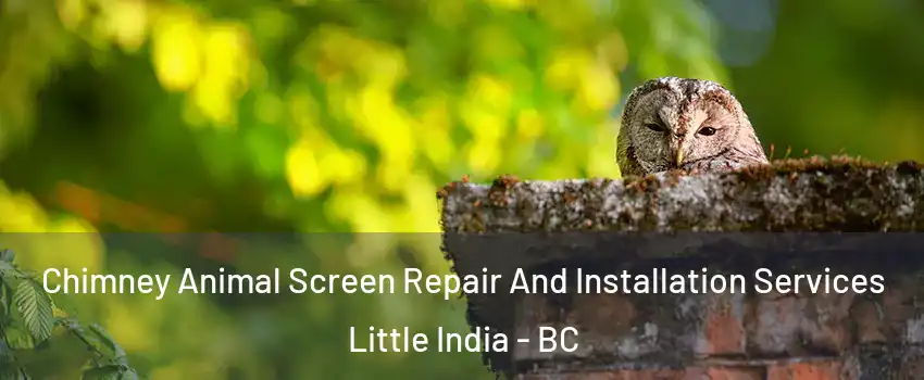  Chimney Animal Screen Repair And Installation Services Little India - BC