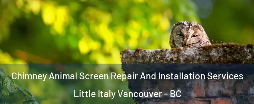  Chimney Animal Screen Repair And Installation Services Little Italy Vancouver - BC