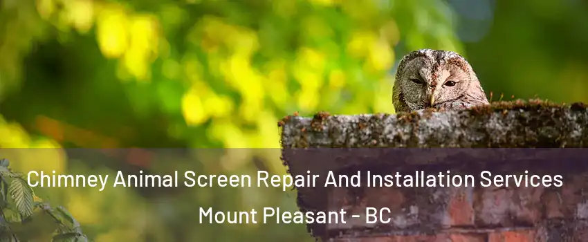  Chimney Animal Screen Repair And Installation Services Mount Pleasant - BC