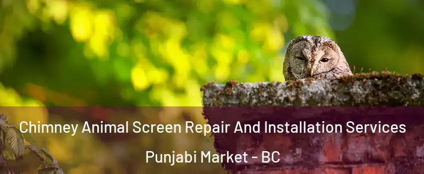  Chimney Animal Screen Repair And Installation Services Punjabi Market - BC