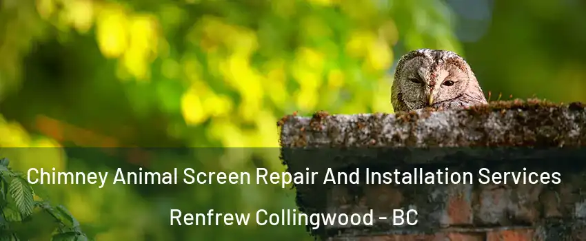  Chimney Animal Screen Repair And Installation Services Renfrew Collingwood - BC
