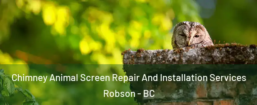  Chimney Animal Screen Repair And Installation Services Robson - BC