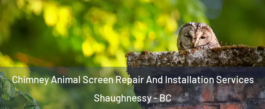  Chimney Animal Screen Repair And Installation Services Shaughnessy - BC