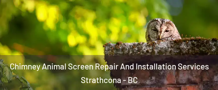  Chimney Animal Screen Repair And Installation Services Strathcona - BC