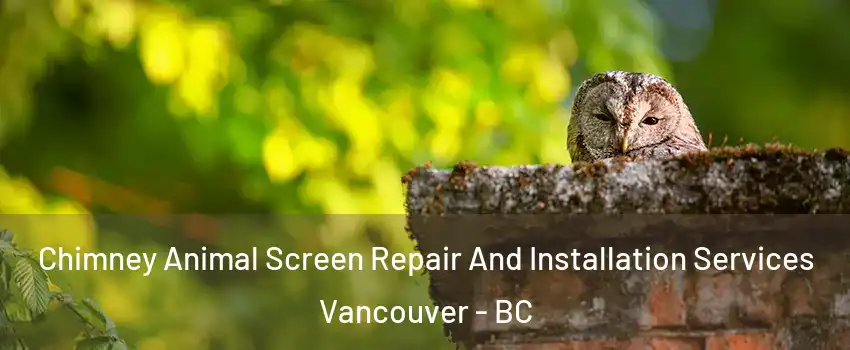  Chimney Animal Screen Repair And Installation Services Vancouver - BC