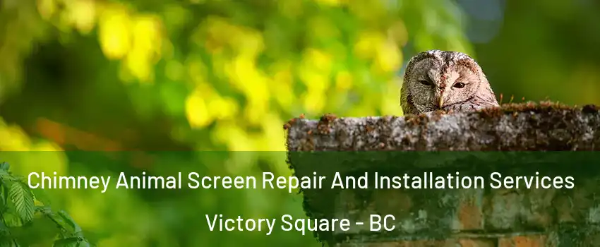  Chimney Animal Screen Repair And Installation Services Victory Square - BC