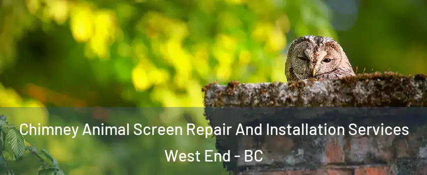  Chimney Animal Screen Repair And Installation Services West End - BC