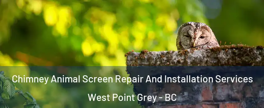  Chimney Animal Screen Repair And Installation Services West Point Grey - BC