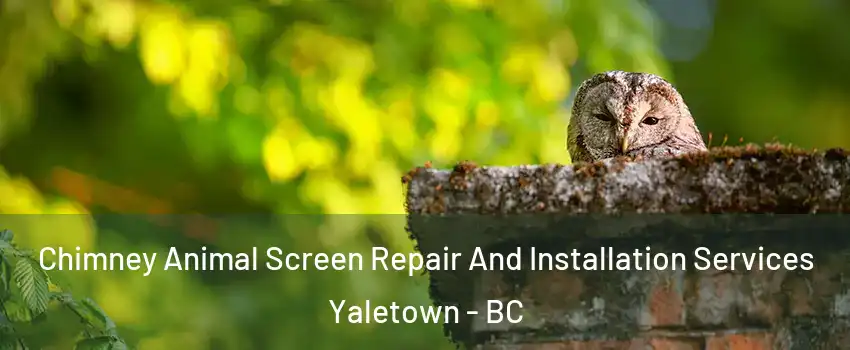  Chimney Animal Screen Repair And Installation Services Yaletown - BC