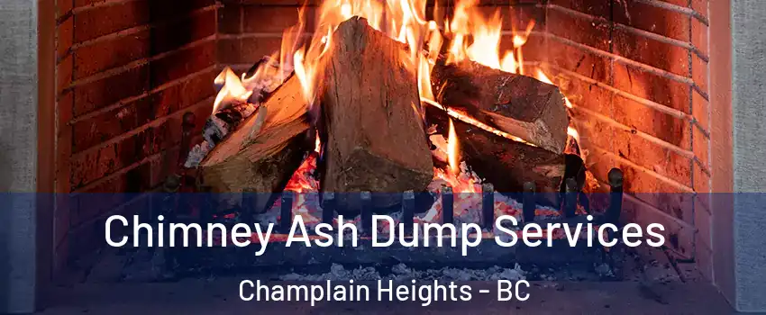  Chimney Ash Dump Services Champlain Heights - BC