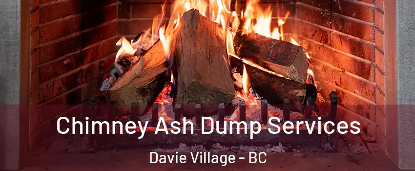  Chimney Ash Dump Services Davie Village - BC